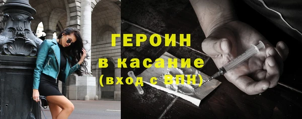 СК Гатчина