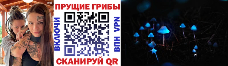 Галлюциногенные грибы Psilocybine cubensis  Нарткала 