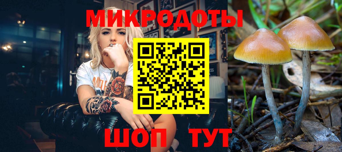 Псилоцибиновые грибы мицелий Нарткала